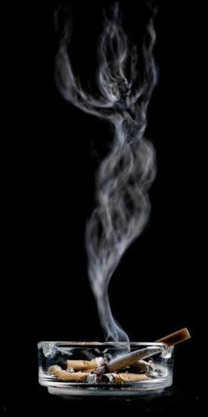 200902166844774